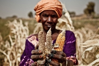 The sound of hunger, the video that makes the plight of 5 million children in the Sahel audible