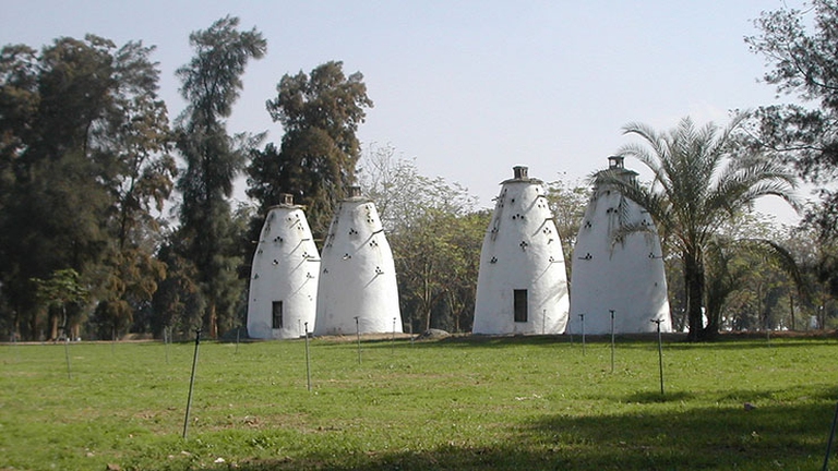 sekem-evi
