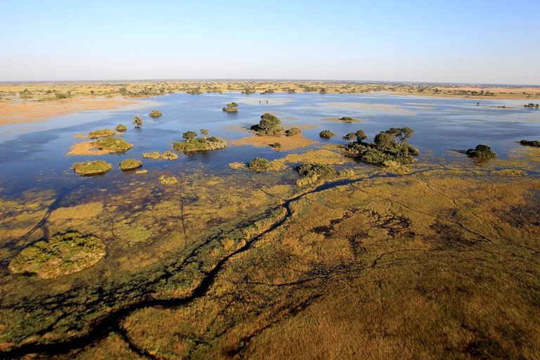 Okavango, 130.000 elefanti africani in pericolo a causa della ricerca di petrolio