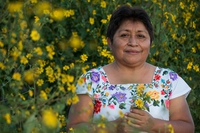 La storia di Leydy Pech, l’apicoltrice maya che ha sconfitto Monsanto