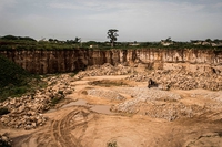 A Bandia, in Senegal, i baobab soccombono al peso del cemento