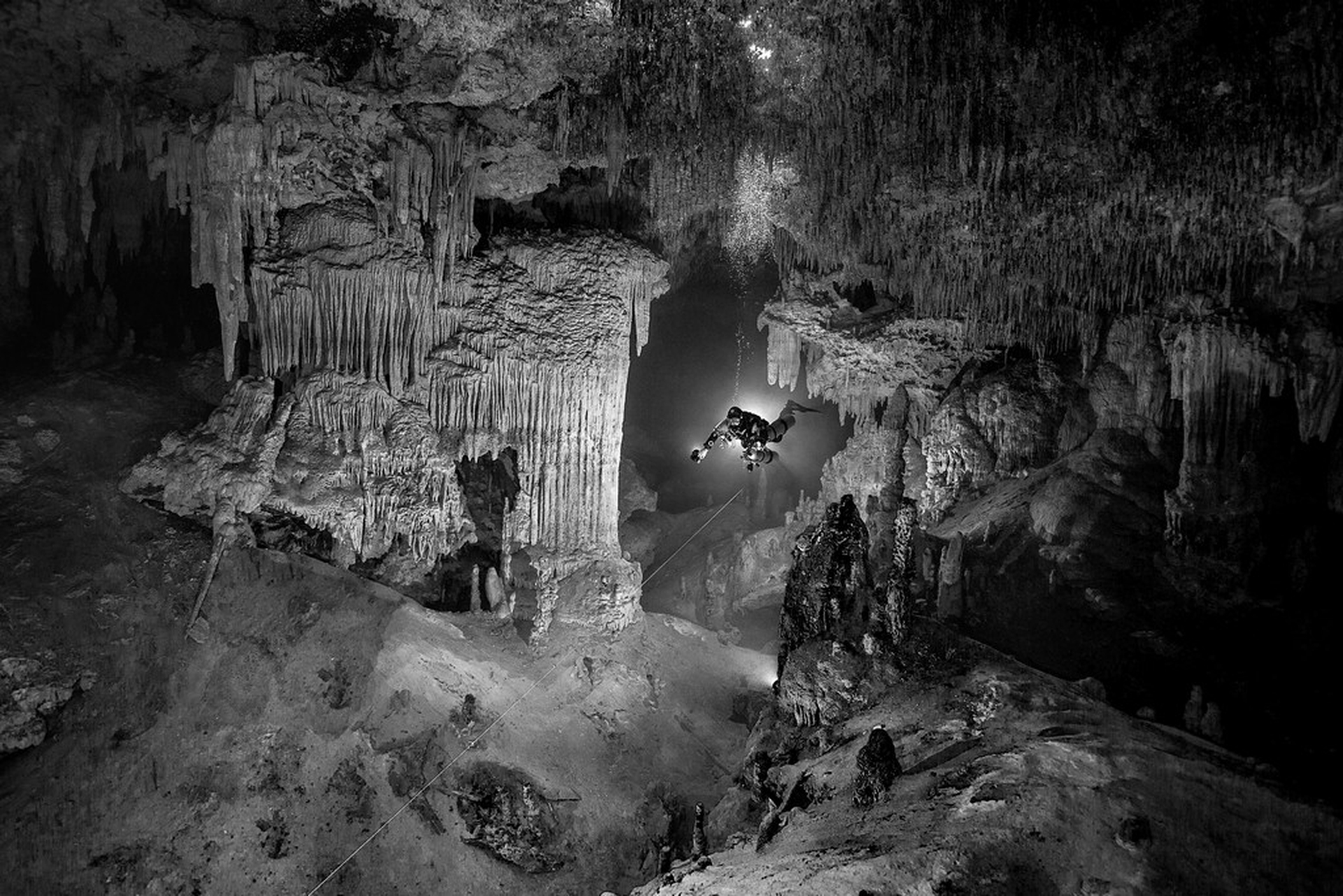 The winning photos of the Underwater Photographer of the Year 2018