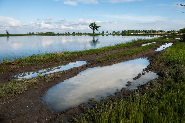 tempesta emergenza climatica campi colpiti da forti alluvioni