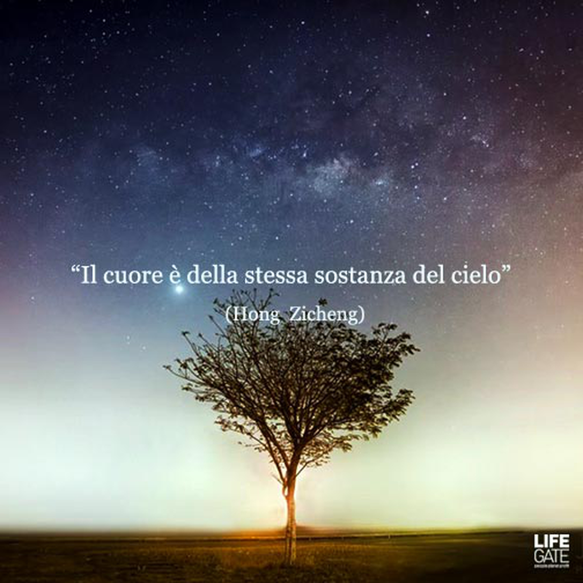 Le citazioni più belle per sempre - Hong Zicheng