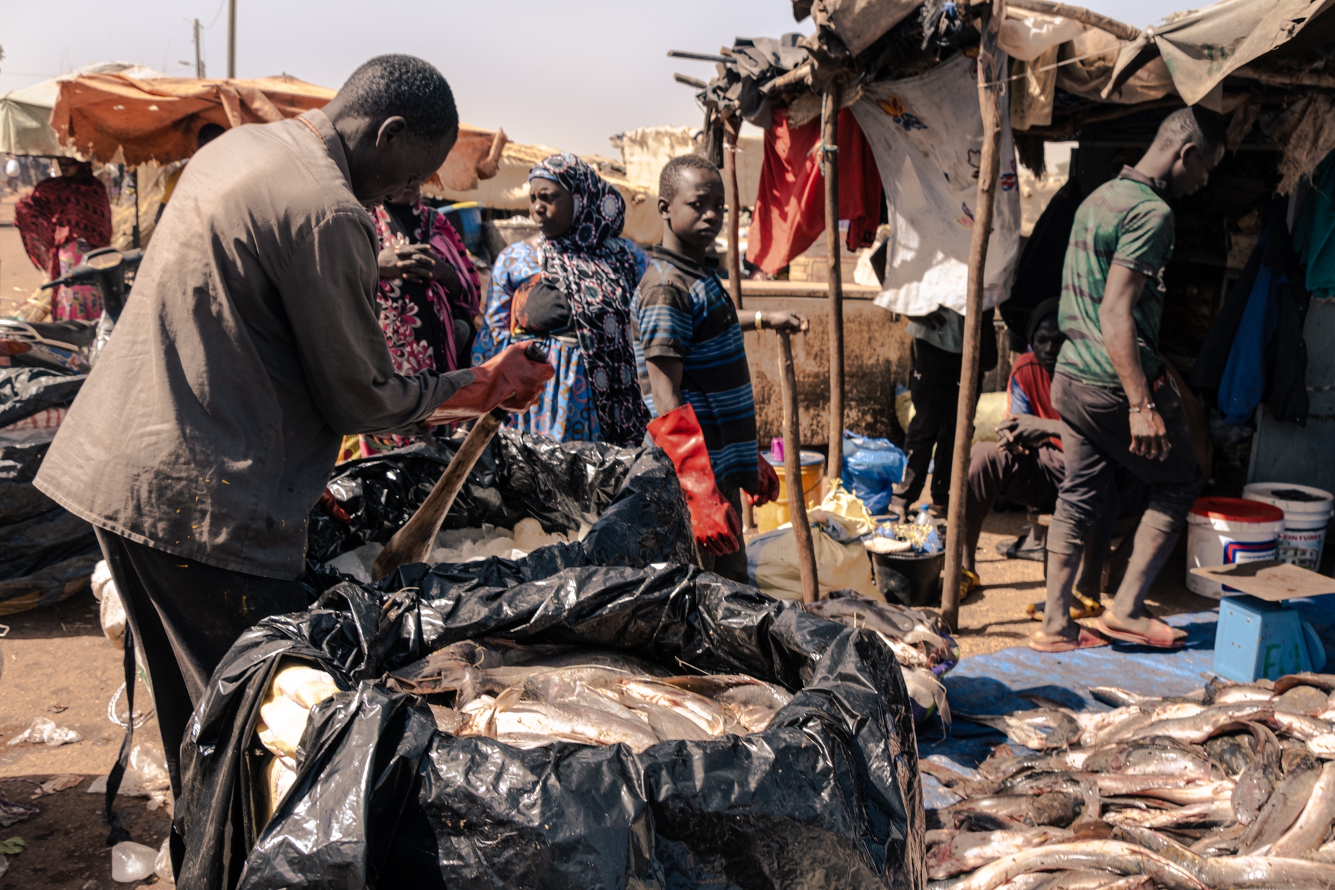 Mercato del pesce Mopti