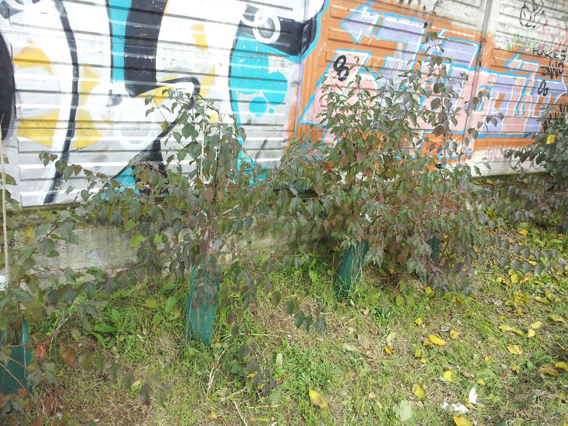 Riqualificazione Naviglio Grande di Milano