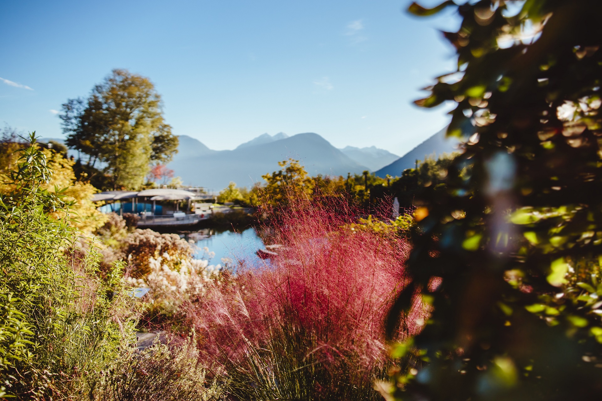 Dove vedere il foliage