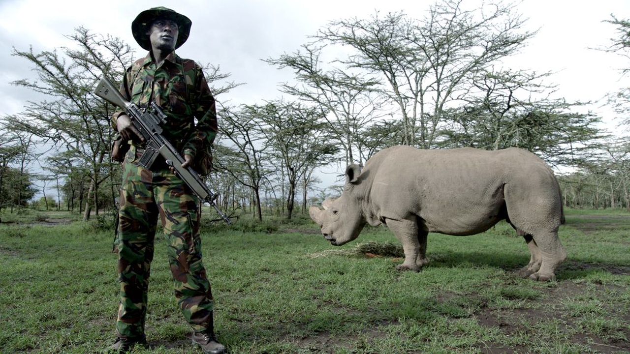 Antropocene, l’epoca umana. Al cinema il docufilm che racconta come l ...