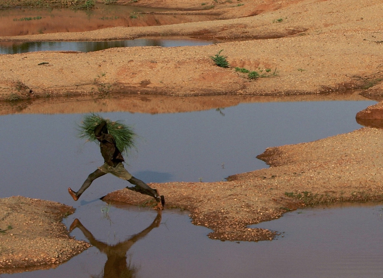 Niger inondazioni campi di riso sommersi