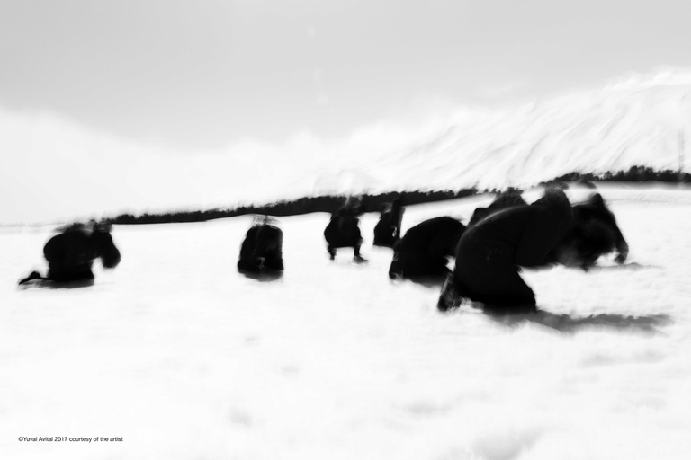 Variazioni sul tremore armonico, Yuval Avital