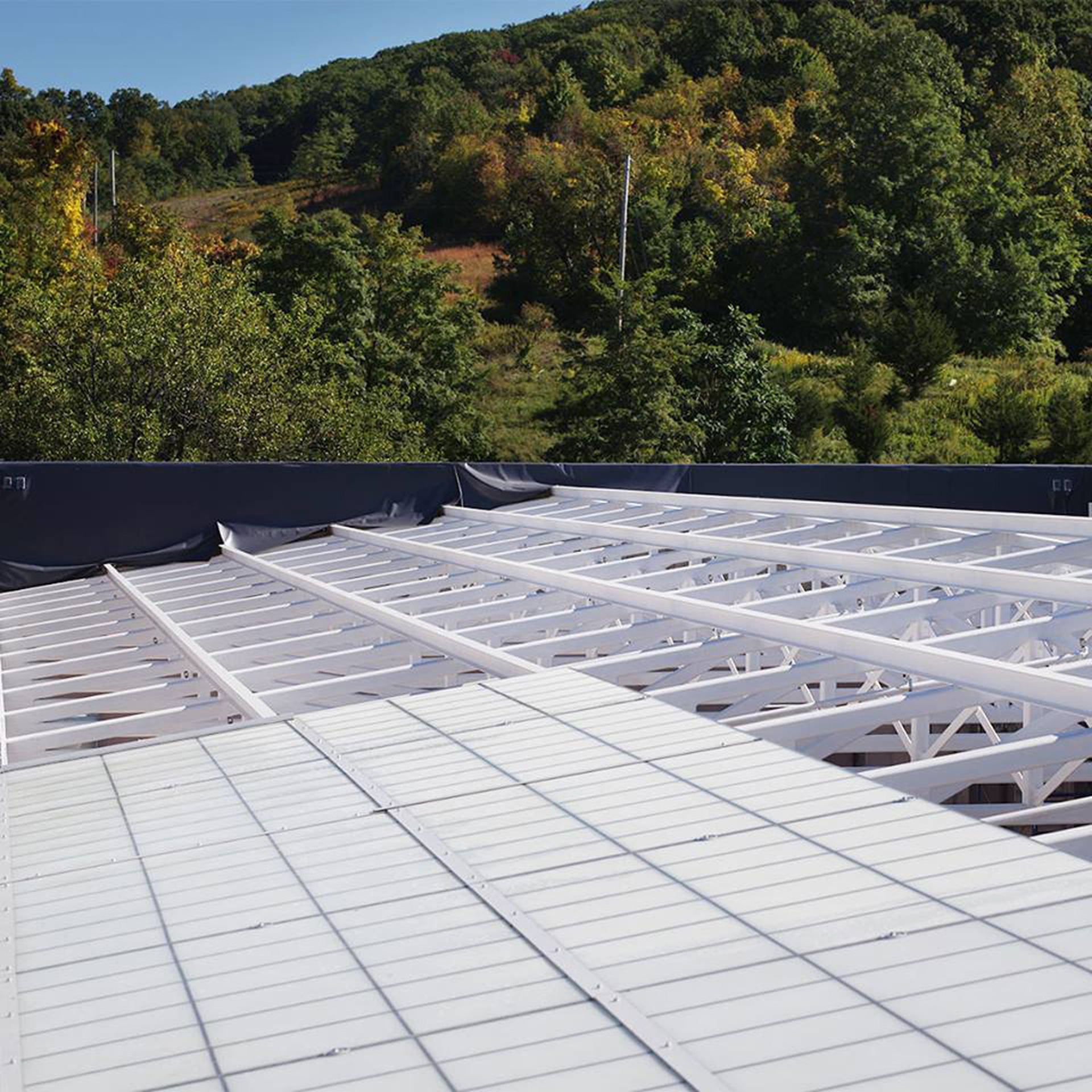 Apre a New York il MIA