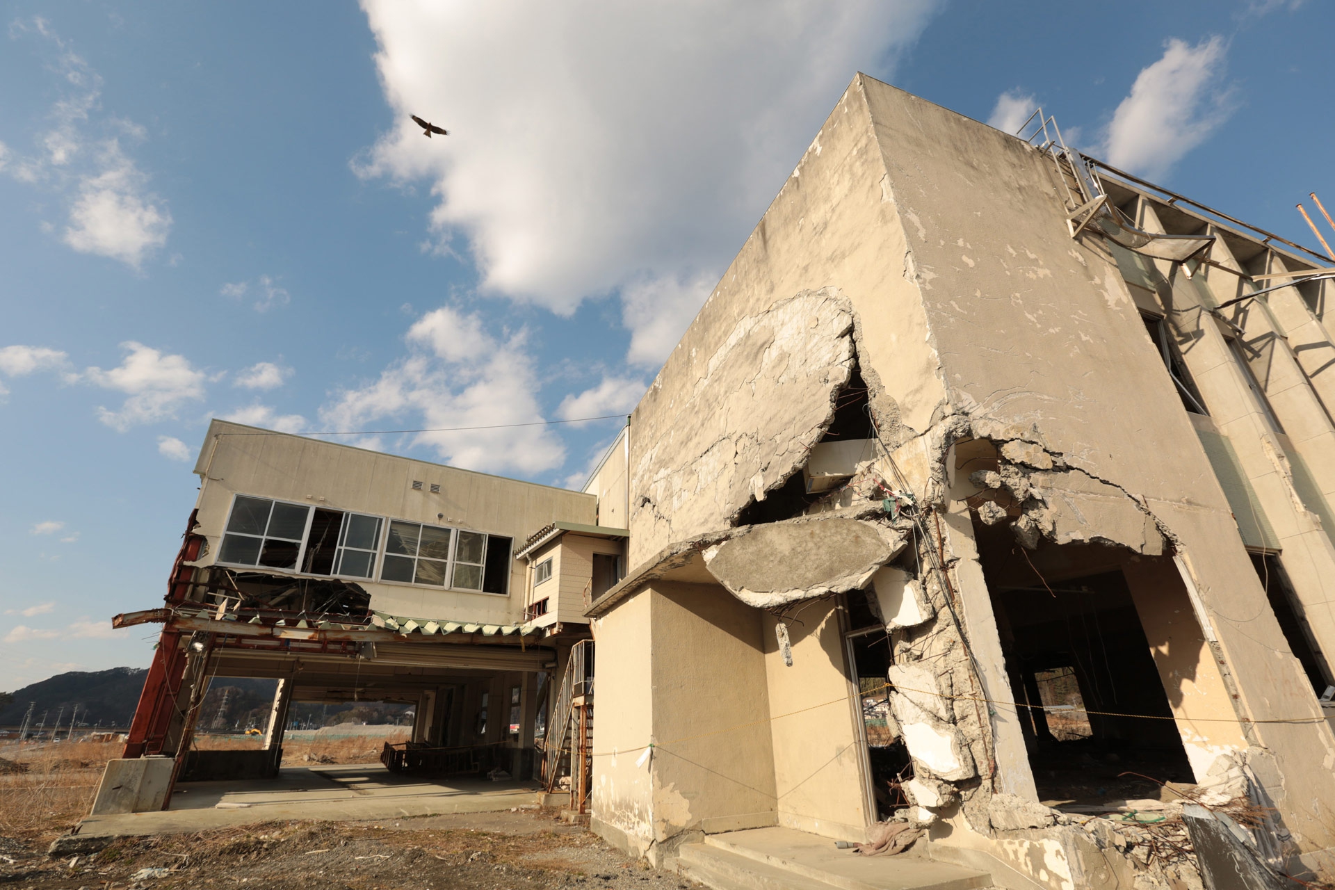 Fukushima tre anni dopo