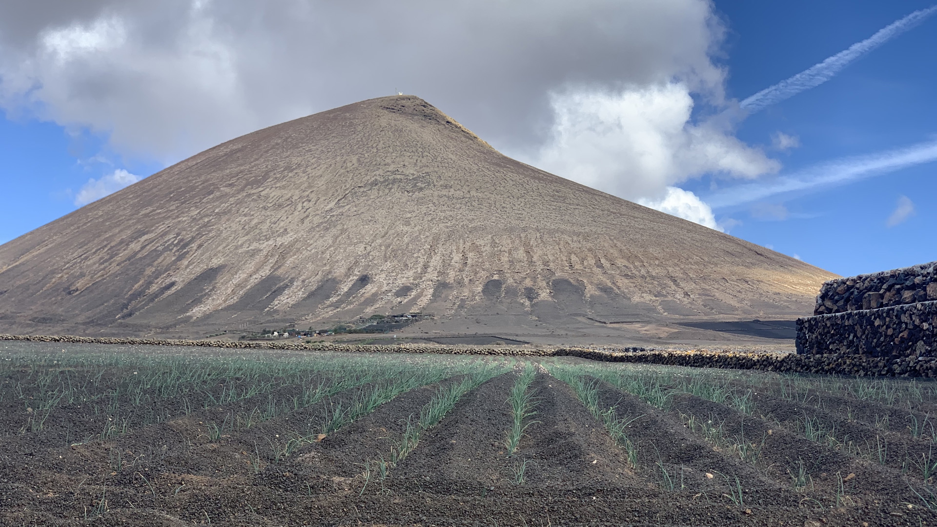LANZAROTE_cebollino_image00004