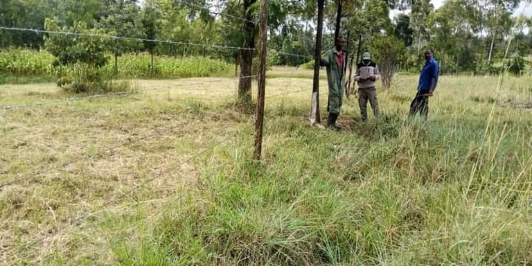 Coltivare il futuro opuntia