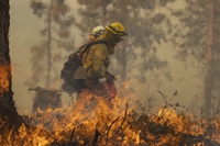 L’incendio Park Fire, il quarto peggiore di sempre in California, è quasi spento