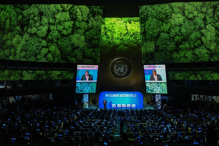 Al Climate action summit del 23 settembre a New York è stato chiesto ai vari paesi del mondo di assumere impegni concreti nella mitigazione del riscaldamento globale