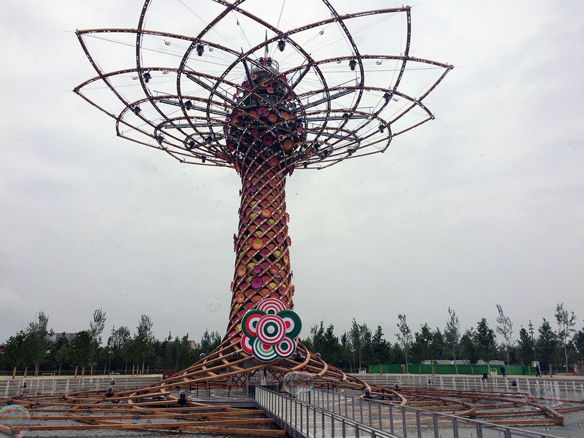 albero-vita_1