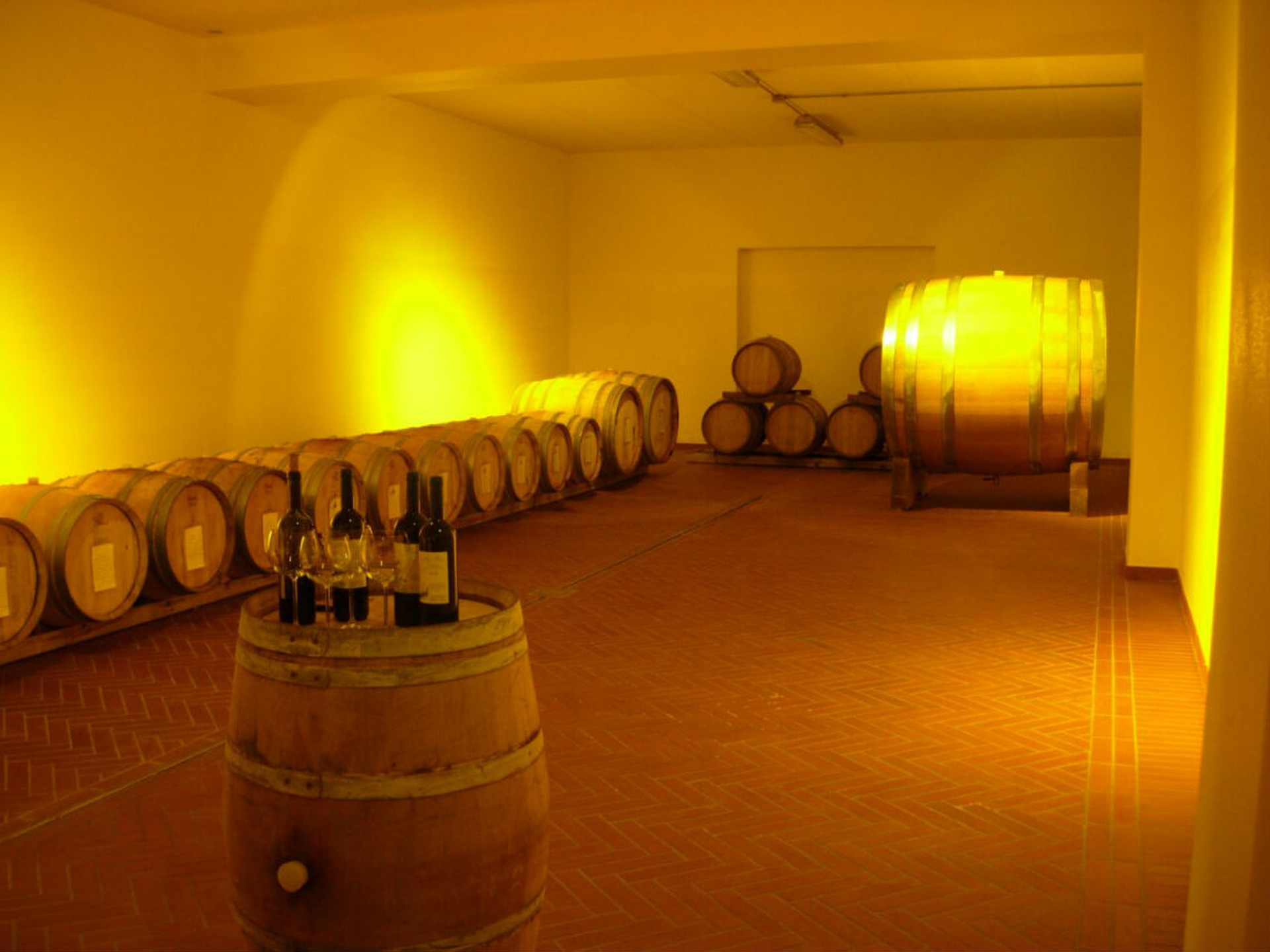 Josetta Saffirio. Qui il vino è sostenibile e tutto al femminile