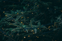 Quanto inquinamento genera il Natale?