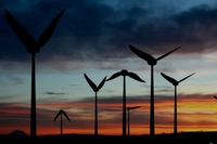 Energia eolica. Le nuove pale saranno come ali di colibrì