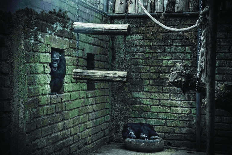 Animali negli Zoo Europei (Italia) © Britta Jaschinski