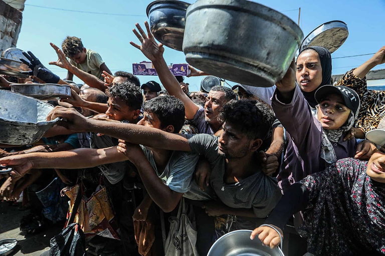 banca dei semi gaza