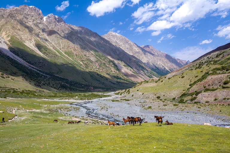 Montagne del Kirghizistan