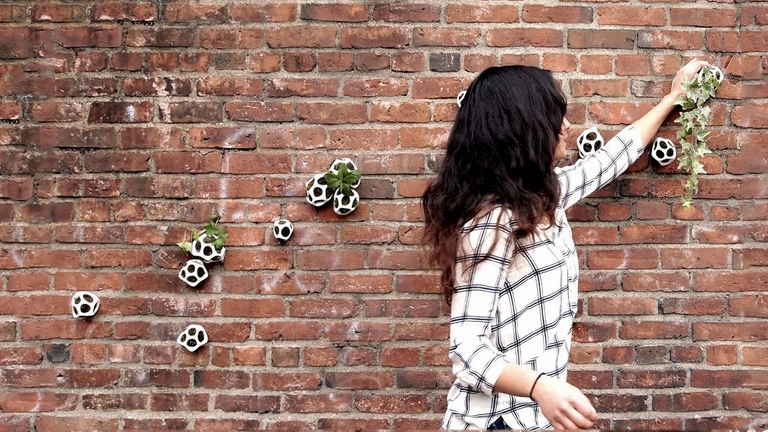 Cella, sistema di piccoli moduli per far crescer piantine in interni e sui muri