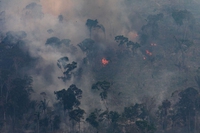 Brasile, record di incendi a maggio nella foresta amazzonica