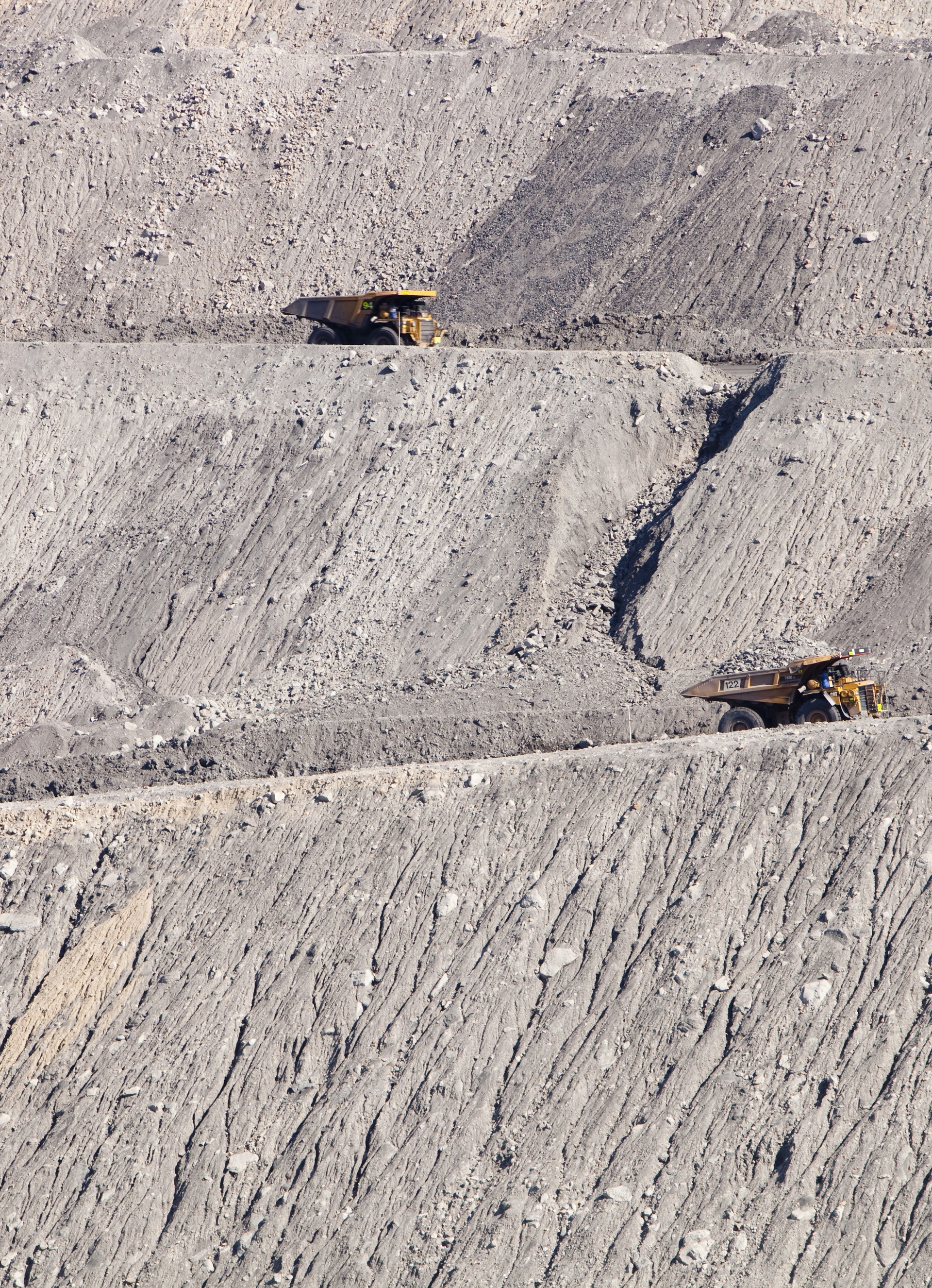 Wwf Patrimonio Mondiale2