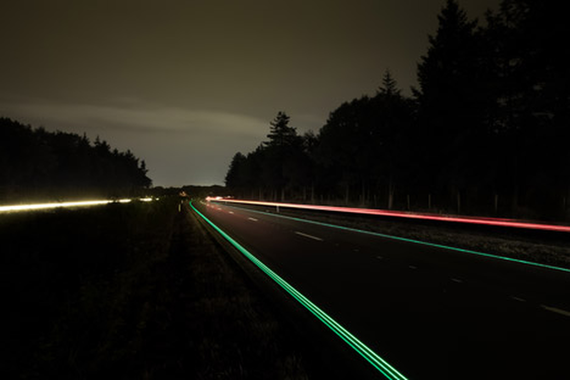 Autostrade bioluminescenti