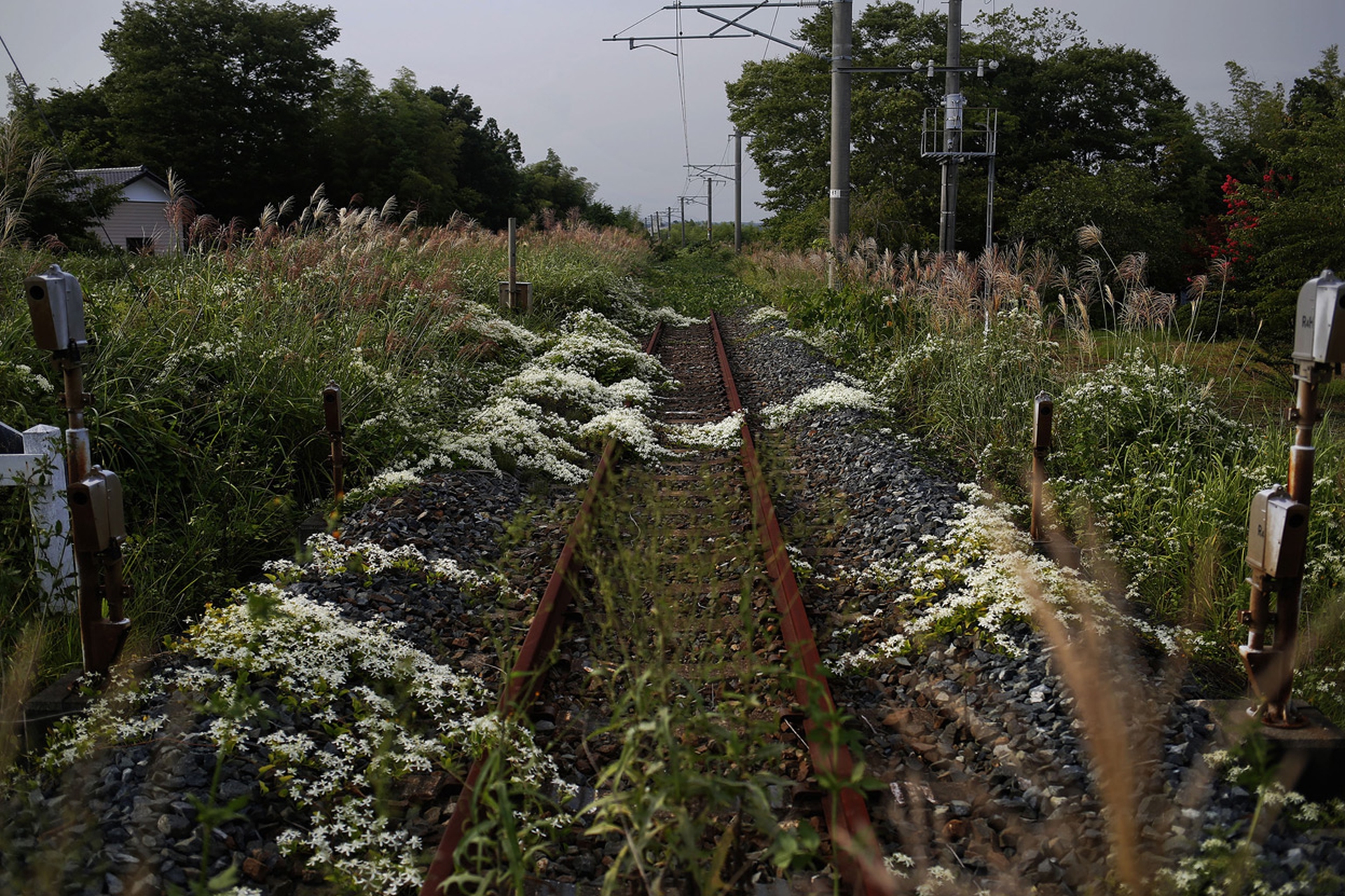Fukushima tre anni dopo