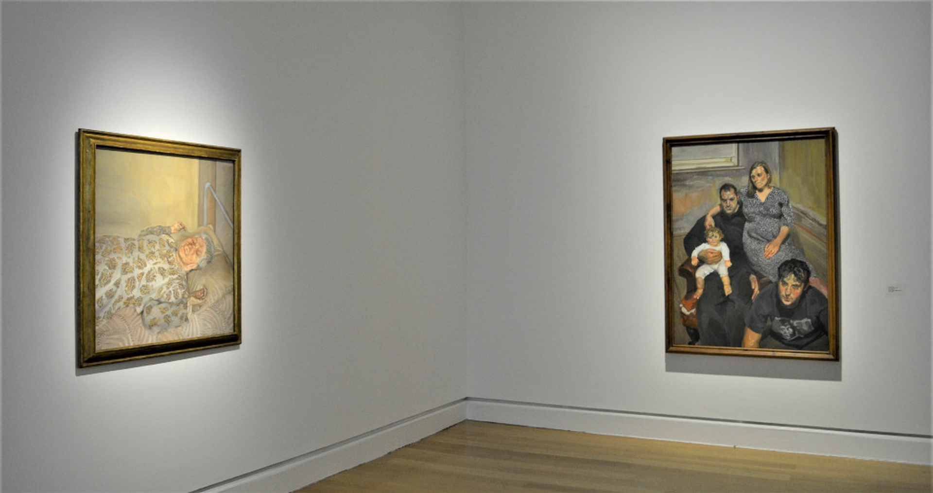 Opere di Lucian Freud esposte all'IMMA di Dublino