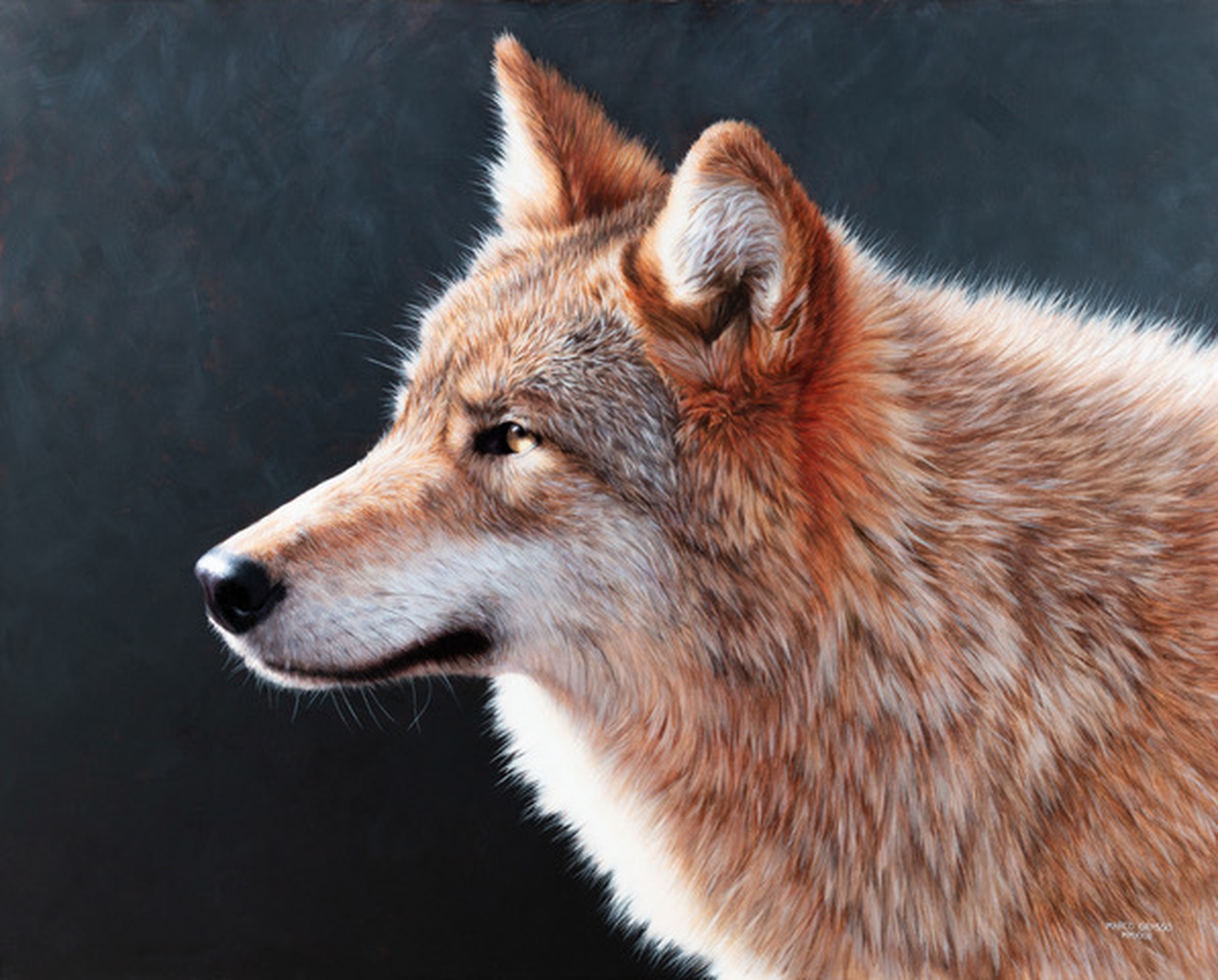 Marco Grasso On The Hunt 2023