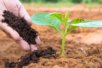 Cos’è l’agricoltura simbiotica (e dove trovarne i prodotti)