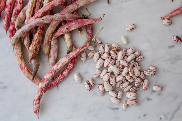 Zuppa di orzo con fagioli borlotti