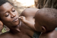 Bracconaggio in Africa, chi dovrebbe proteggere gli animali accusato di violenze dagli indigeni