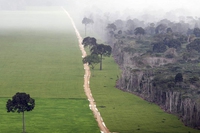 Amazzonia, in Brasile la battaglia sulla coltivazione di soia