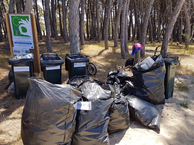 Rifiuti raccolti dal Comitato 7 Agosto, Let's Clean Up Europe 2017