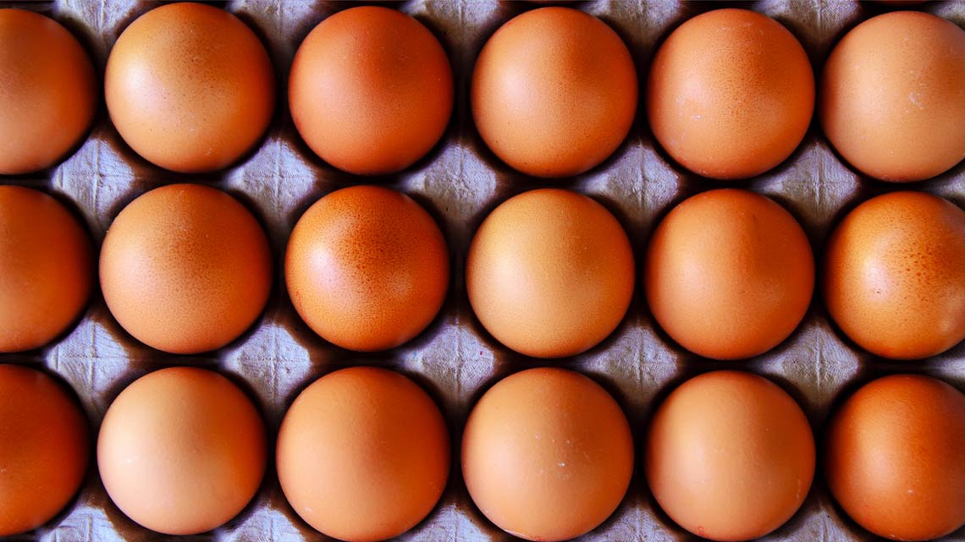 Uova al fipronil: controlli su amitraz e allevamenti. I ritardi del  Ministero