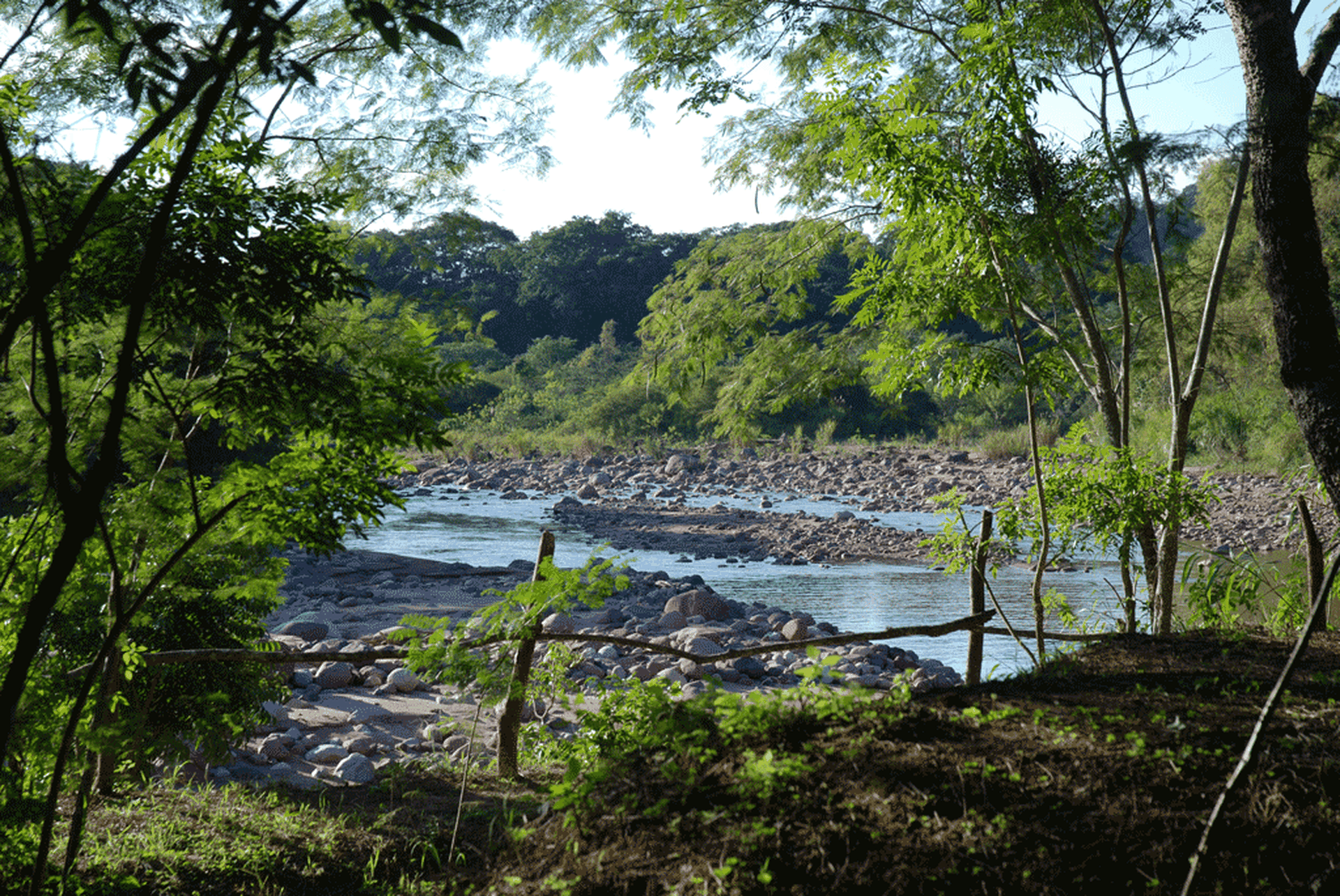 Riserva El Pantanoso in Argentina