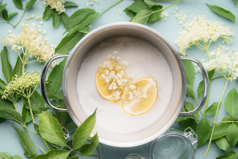 Sciroppo con i fiori del sambuco