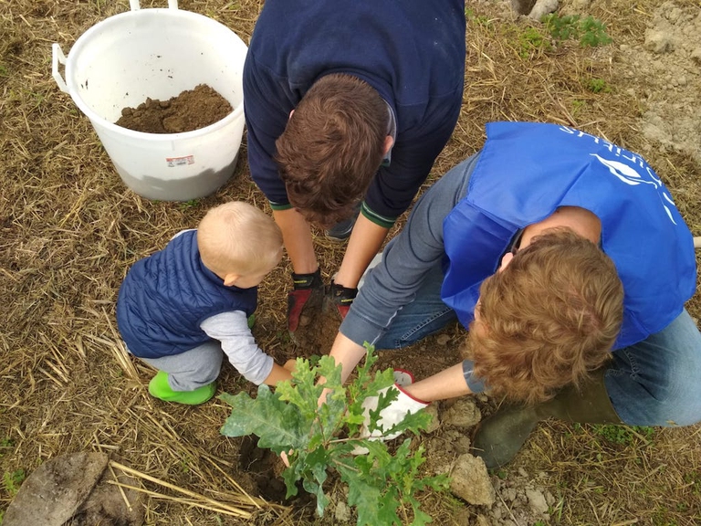 spiritus mundi giornata nazionale degli alberi