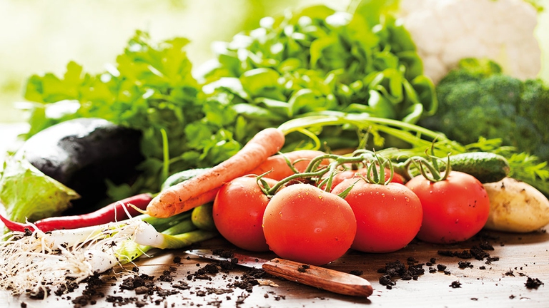 Industria alimentare socialing