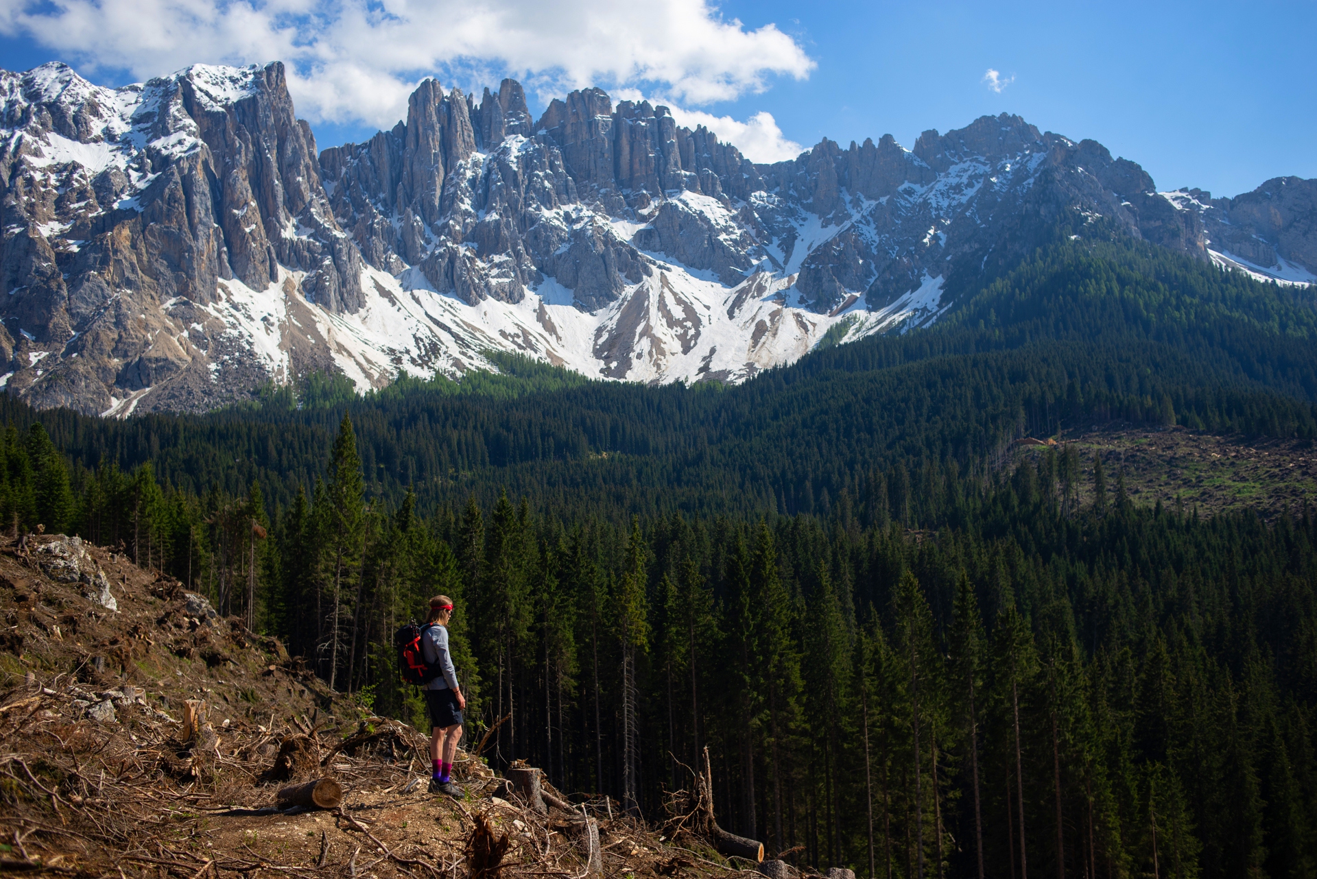 Bellezza e distruzione_la catena del Latemar si affaccia su Carezza con i boschi devastati dall_uragano Vaia. Trentino Alto Adige.