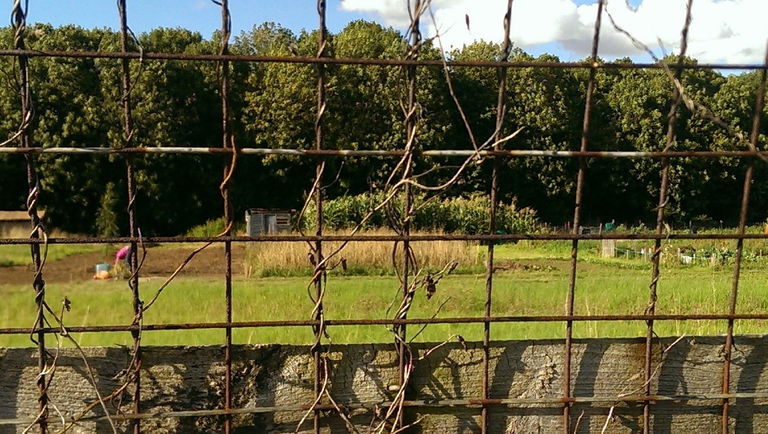 social impact bond del carcere di Peterborough