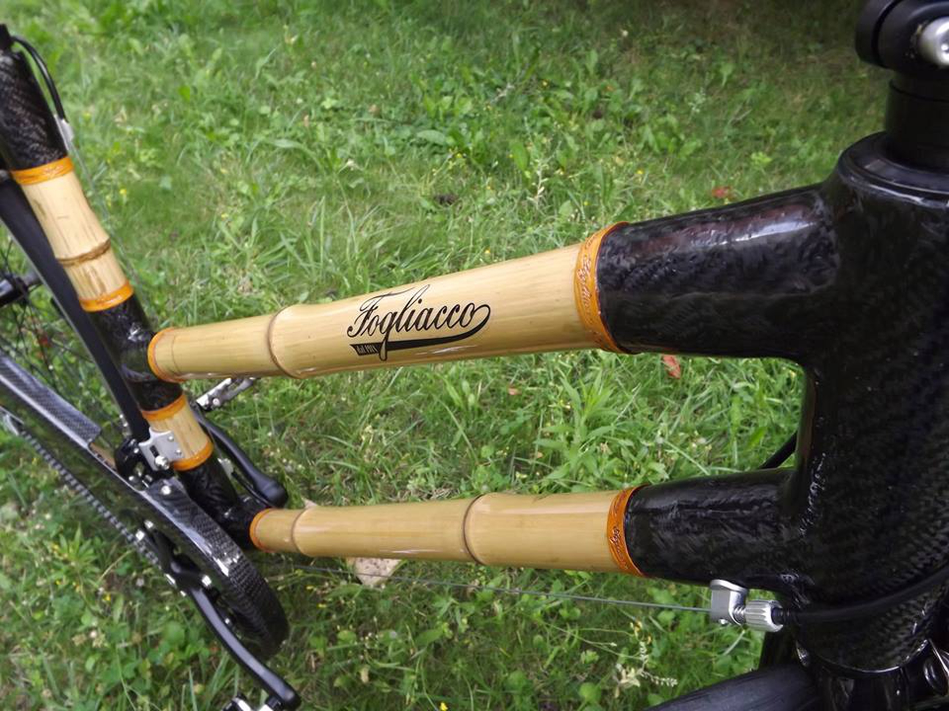 10442995_822660057774302_4525788197510481582_n