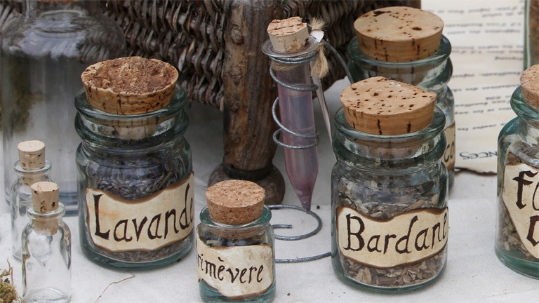  Tutti i rimedi della medicina spagirica si basano infatti sull'uso delle erba