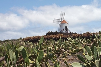 Lanzarote, il Jardín de cactus vince il premio Carlo Scarpa per il giardino