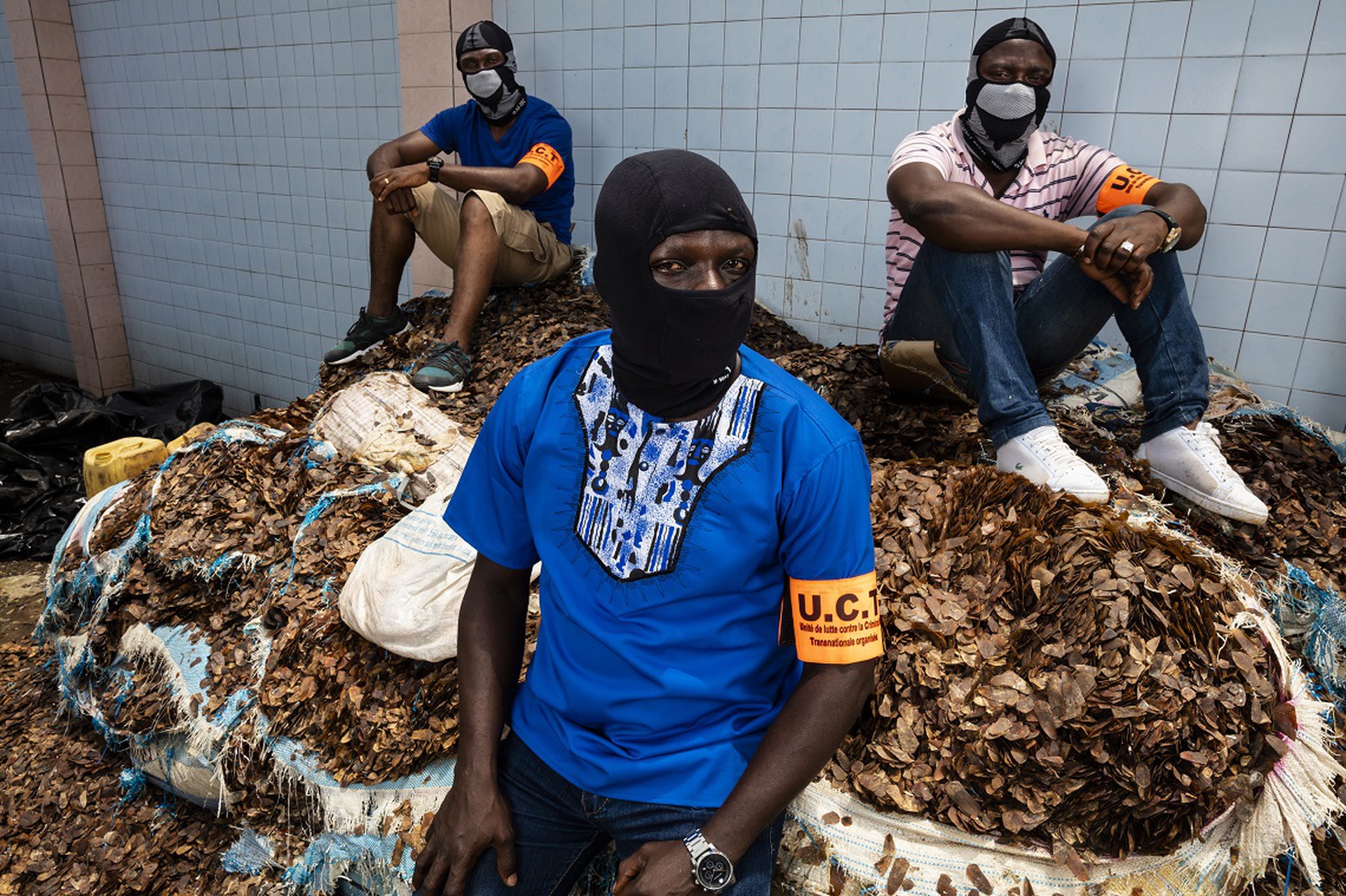 Pangolins in Crisis, Brent Stirton, World Press Photo 2020
